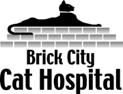 Brick City Cat Hospital