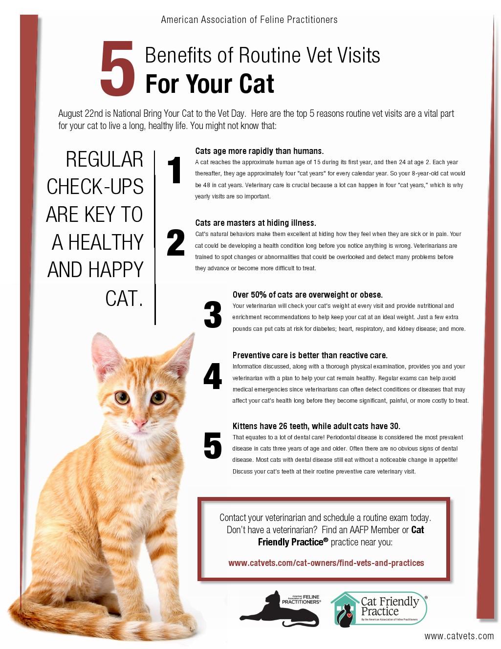 Benefits of routine cat checkups Brick City Cat Hospital Ocala FL Veterinarian