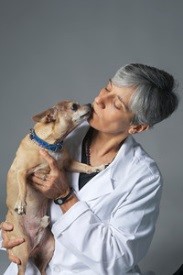 Dr. Sanchez surgeon Brick City Cat Hospital Ocala FL Veterinarian Dr. Sanchez surgeon Brick City Cat Hospital Ocala FL Veterinarian