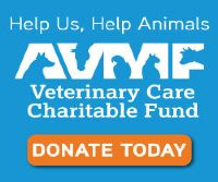 AVMF VCCF Banner