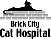 Brick City Cat Hospital - Ocala, FL